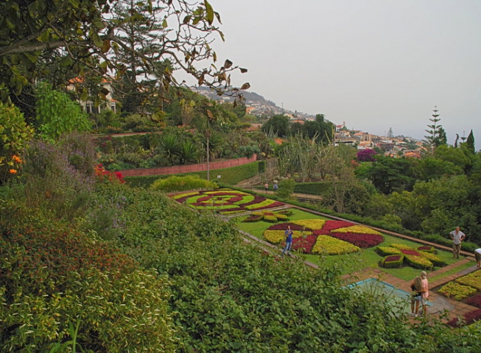 portugal, madere, funchal, jardin